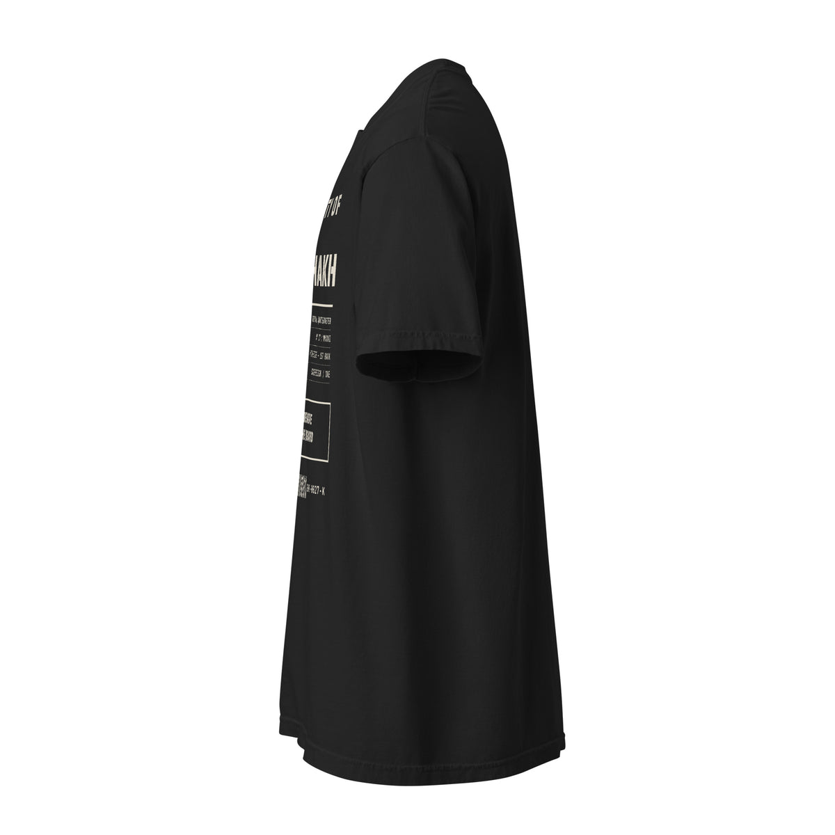 Property of The Shakh heavyweight garment-dyed t-shirt, black — left side