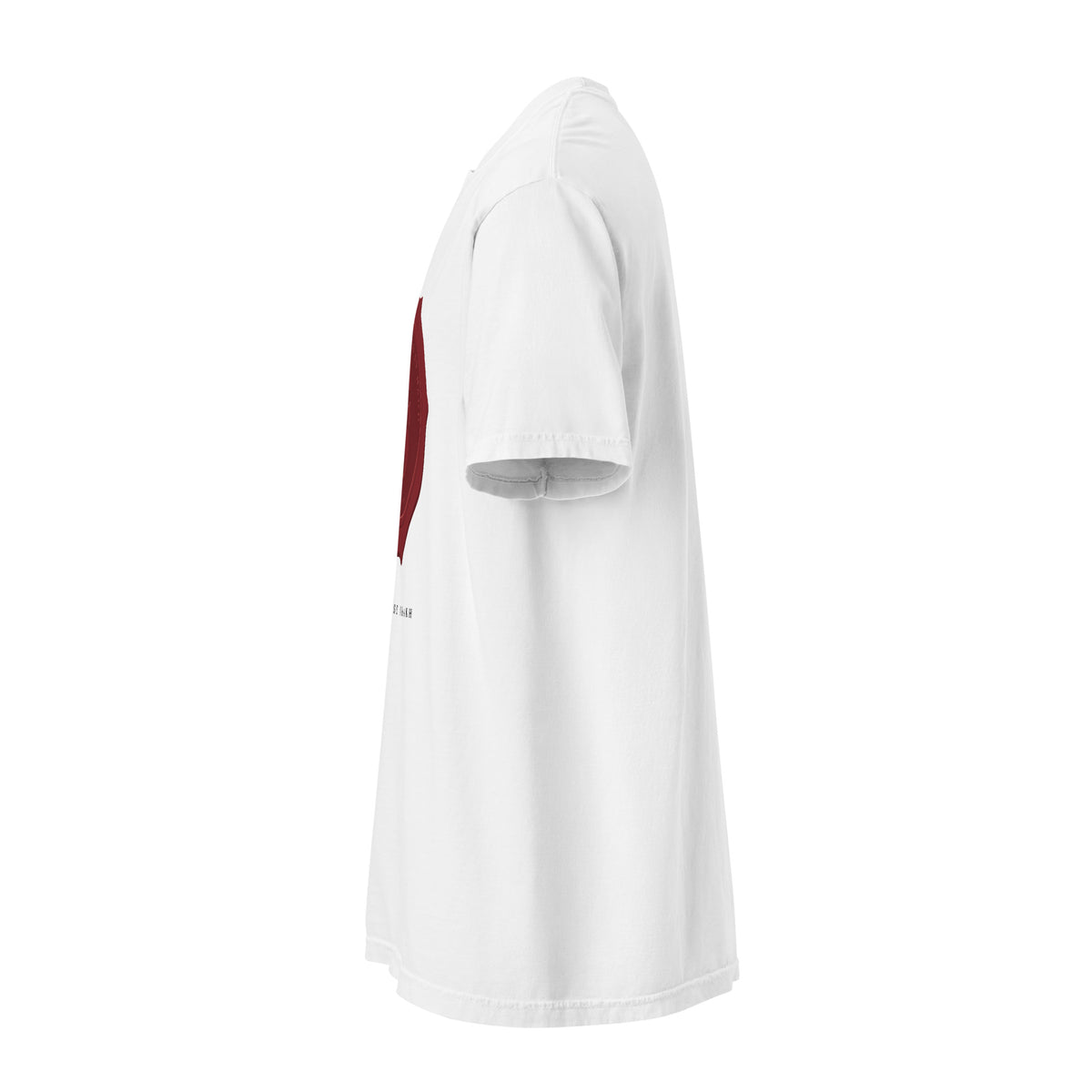 The Vizier heavyweight graphic t-shirt, white — left side